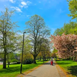Lowndes Park - Chesham