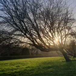 Lowndes Park - Chesham