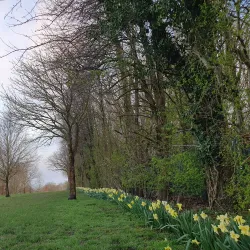 Lowndes Park - Chesham