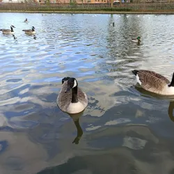 Lowndes Park - Chesham