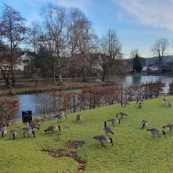 Lowndes Park - Chesham