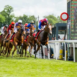 Chester Racecourse - Chester