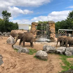 Chester Zoo - Chester