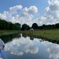 Chesterfield Canal - Chesterfield