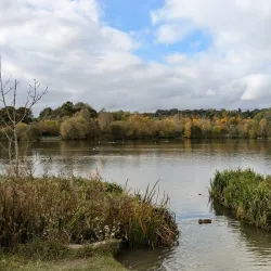 Holmebrook Valley Park - Chesterfield