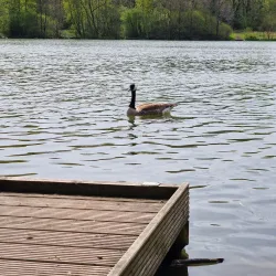 Holmebrook Valley Park - Chesterfield