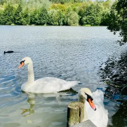 Holmebrook Valley Park - Chesterfield