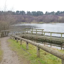 Holmebrook Valley Park - Chesterfield
