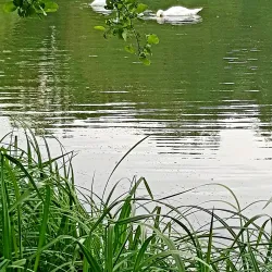 Holmebrook Valley Park - Chesterfield