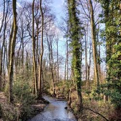 Holmebrook Valley Park - Chesterfield