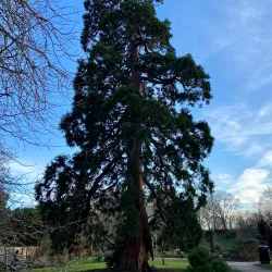 Bishop's Palace Gardens - Chichester