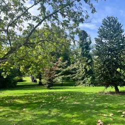 Bishop's Palace Gardens - Chichester