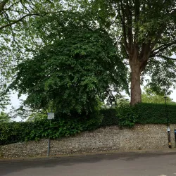 Chichester City Walls - Chichester