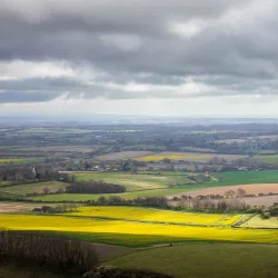 South Downs National Park - Chichester