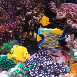 The Novium Museum - Chichester