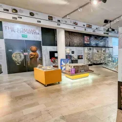 The Novium Museum - Chichester