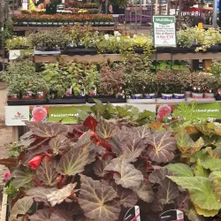 Chilton Heritage Centre - Chilton