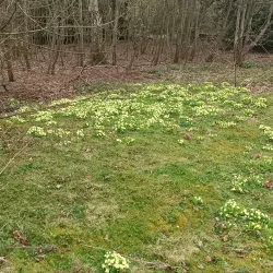 Chilton Market Square - Chilton