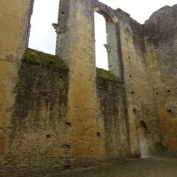 Old Mill Ruins - Chilton