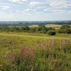 Riverside Walk - Chilton