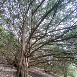 Riverside Walk - Chilton