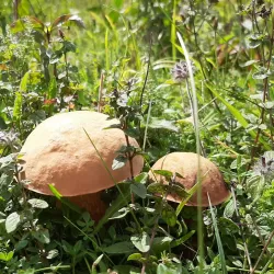 Riverside Walk - Chilton