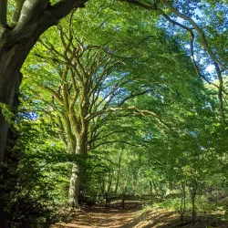 Riverside Walk - Chilton