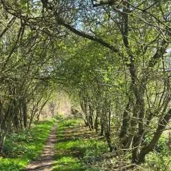 Riverside Walk - Chilton