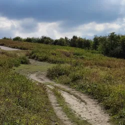 Riverside Walk - Chilton