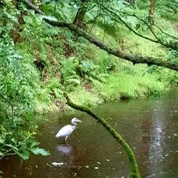 Brinscall Village - Chorley
