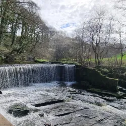Yarrow Valley Country Park - Chorley