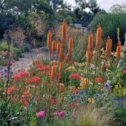 Beth Chatto Gardens - Colchester