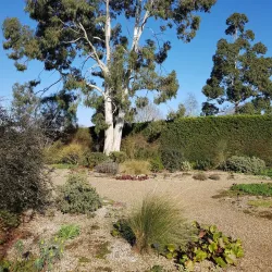 Beth Chatto Gardens - Colchester