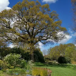 Beth Chatto Gardens - Colchester