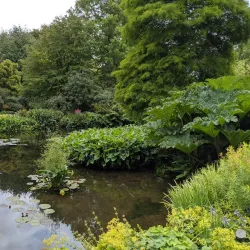 Beth Chatto Gardens - Colchester