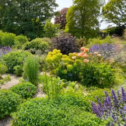 Beth Chatto Gardens - Colchester