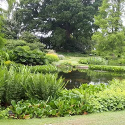 Beth Chatto Gardens - Colchester