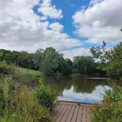 High Woods Country Park - Colchester