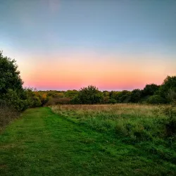 High Woods Country Park - Colchester