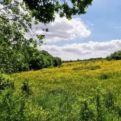 High Woods Country Park - Colchester