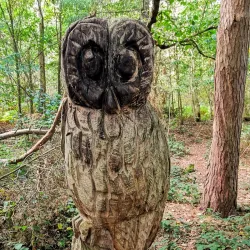 High Woods Country Park - Colchester