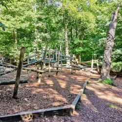 High Woods Country Park - Colchester