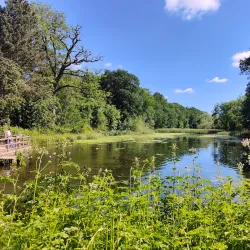 Coombe Abbey Country Park - Coventry