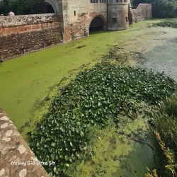 Coombe Abbey Country Park - Coventry