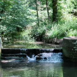 Coombe Abbey Country Park - Coventry
