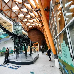 Herbert Art Gallery & Museum - Coventry