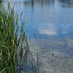 Brownlow House - Craigavon