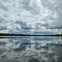 Craigavon Lakes - Craigavon