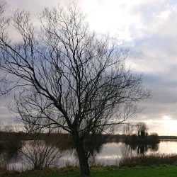 Craigavon Lakes - Craigavon