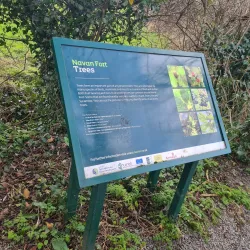 Navan Fort - Craigavon